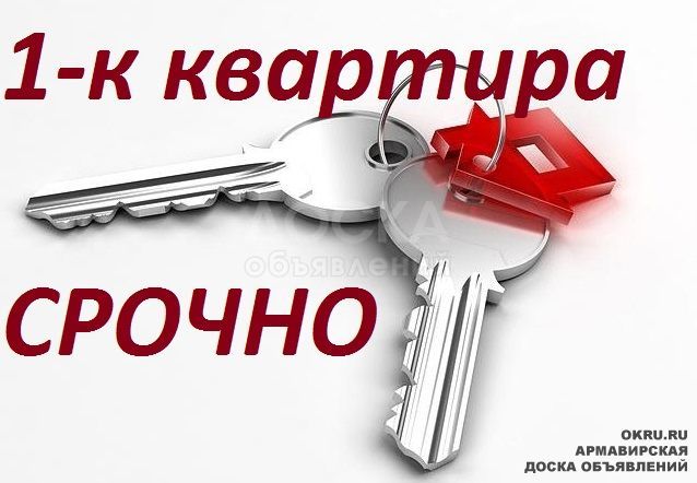 Сдаю 1-комнатную квартиру, 38кв. м., этаж - 5/9, Аламедин 1.