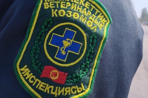 В Кыргызстане насчитывается 1 146 государственных ветеринаров, большинство из них пенсионного возраста, - Ветслужба