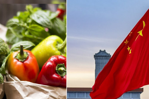 Пищевая Продукция