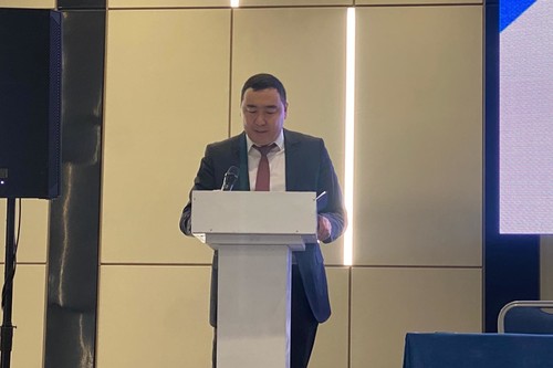 Кыргыз Алтын