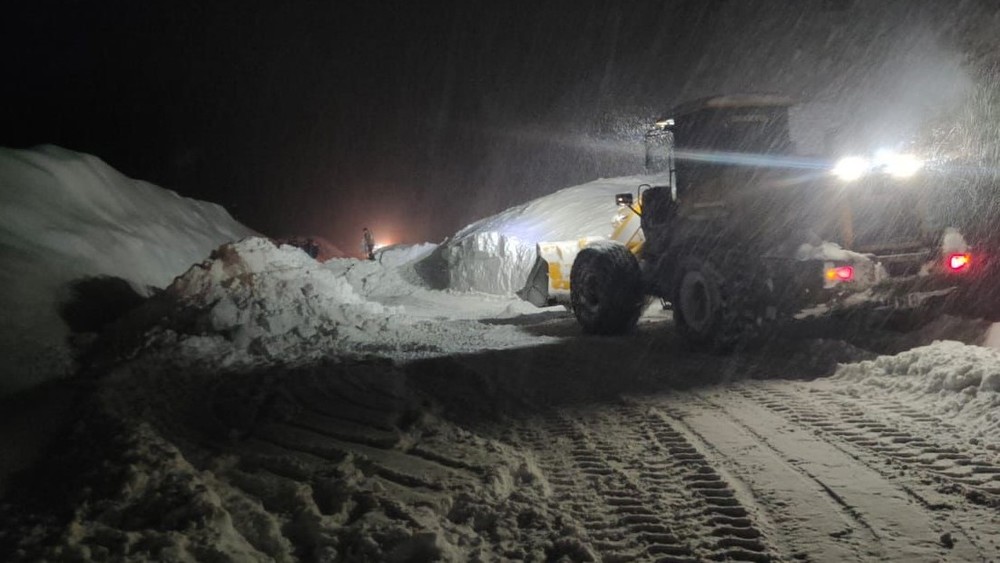 Иллюстрациялык сүрөт