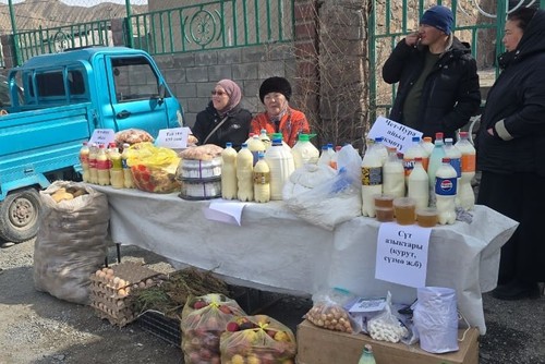 В ряде регионов страны проходят продовольственные ярмарки, - Минсельхоз