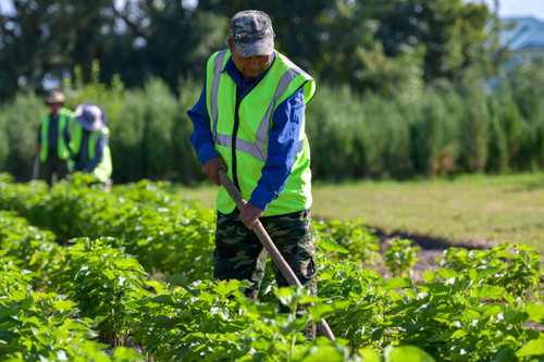 Минэкономики