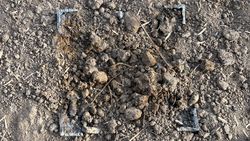 На Московской спилили железные столбы, но остатки торчат над землей, - житель На Московской спилили железные столбы, но остатки торчат над землей, - житель