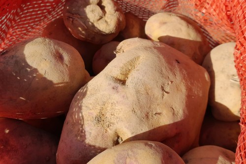 Минсельхоз назвал 6 из 9 социально значимых продуктов, которыми Кыргызстан полностью обеспечивает себя