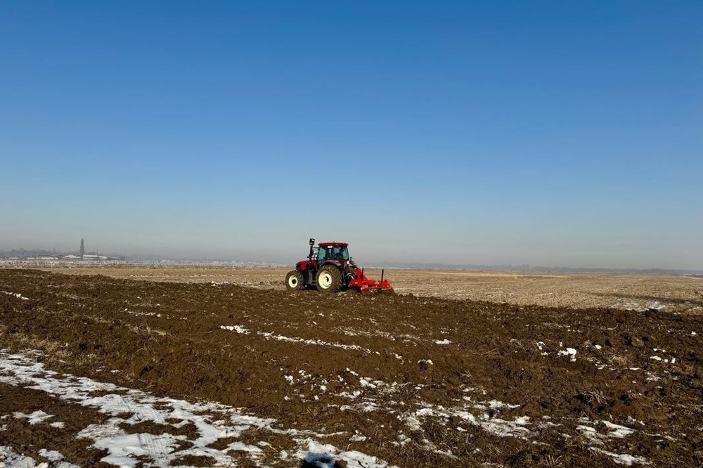 Иллюстративное фото