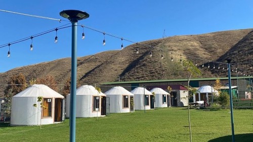 Таш-Дөбө Форель