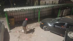 «Тазалык» вывез срубленные ветки в 10 мкр
