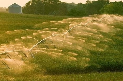 При дефиците продовольствия Кыргызстан будет опираться на рыночные механизмы и импорт, не нанося ущерба фермерам, - Минсельхоз