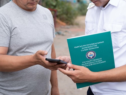 Проверка Бизнеса