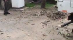 Упавшее дерево на Исанова—Л.Толстого убрано