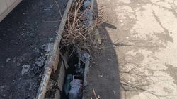 Тротуары и арыки на Мусы Джалиля—Буденного чистят после жалобы жителя