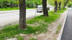 Территория возле домов на Гоголя—Боконбаева убрана