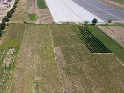 Орошаемая Пашня