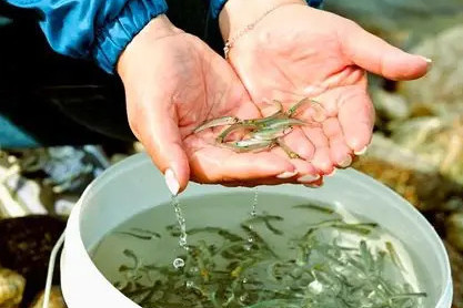 Минсельхоз