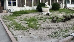 Горожанин жалуется на состояние газона на Абдрахманова—Боконбаева