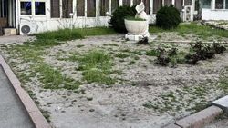 На заброшенном газоне на Абдрахманова—Боконбаева высадят цветы