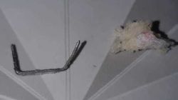 Житель Узгена утверждает, что нашел скобу в хлебе из магазина