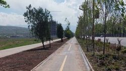 Горожанин просит вернуть скамейки на проспекте Айтматова