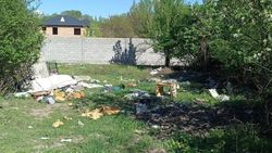 На улице Дачная мусорная свалка на зеленой зоне