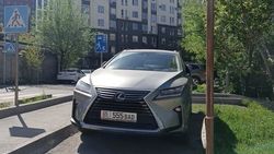 Ограждающая лента на улице Армейская порвалась