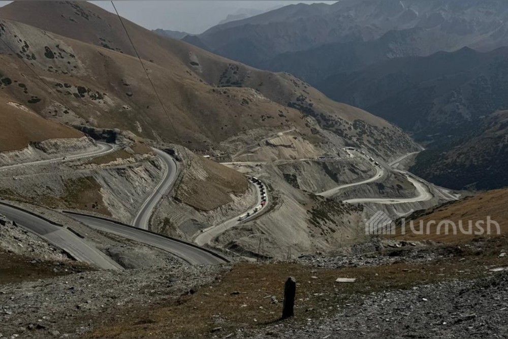 Талдык ашуусу