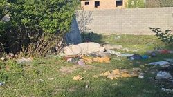 МТУ и МП «Тазалык» очистят свалку на улице Дачная