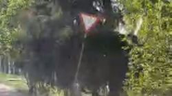 Знак «Уступи дорогу» на Л.Толстого не виден из-за деревьев