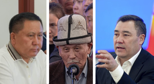 Президент дал поручение ГКНБ проверить жалобу на экс-генпрокурора Зулушева от жителя Узгена из-за 40 га в с.Дөң-Булак