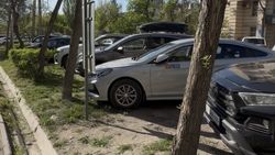 Житель возмущается, что QR-коды для оплаты парковки стоят на зелёной зоне и разрешают парковку на газоне