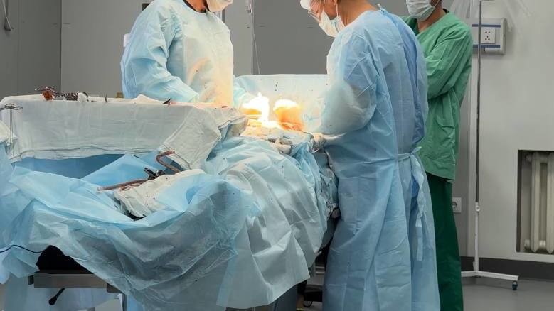 Иллюстрациялык сүрөт