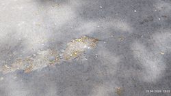 Житель возмущается состоянием велодорожки и тротуара на проспекте Айтматова