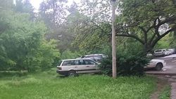 Возле дома №23 в 11 мкр водители паркуют машины на газоне