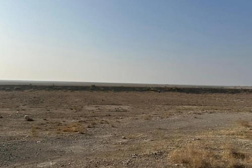 Минсельхоз: в Сузакском районе выявлено нарушение на особо ценных сельхозземлях