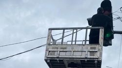 Светофоры на Жибек Жолу—Буденного снова работают