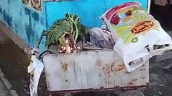 Горожанин просил убрать павильоны на Бейшеналиевой. Ответ мэрии