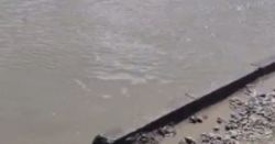 Горожанка жалуется на лужу и ямы у остановки на Махатма Ганди—Можайская