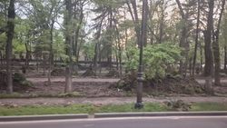 Почему выкопали газоны на Молодой Гвардии? - горожанин