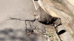 Пень на тротуаре у посольства Турции на Московской убрали