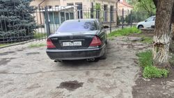 Водитель «Мерседеса» организовал себе персональную парковку во дворе дома, повредив дерево. Фото