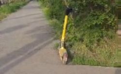 Горожанин показал, как можно парковать самокаты на тротуаре. Видео