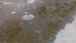 Владелец частного колодца устранил утечку воды в Киргизии-1