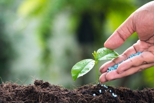 Global fertilizer price surge impacts Kyrgyz agricultural supply