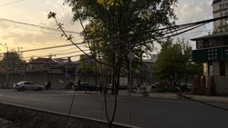 На Московской сетевые кабели висят на молодых деревьях
