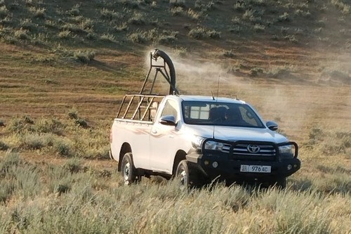 На юге страны проводятся дезинфекционные мероприятия против саранчи, - Минсельхоз