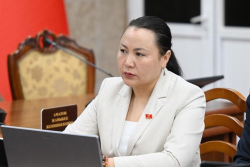 Из-за излишней бюрократии многие инвесторы сейчас ищут себе «крышу», - депутат