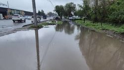 Тротуар новый, проблемы старые. На Льва Толстого затопило новый тротуар. Фото
