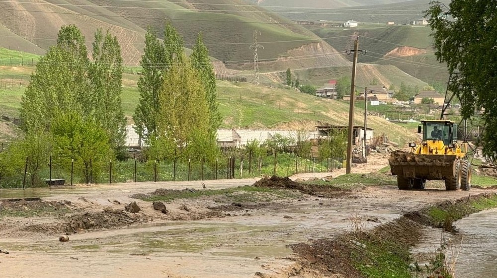 Иллюстарциялык сүрөт