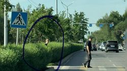 Житель Бишкека просит мэрию убрать 3-4 метра кустарников по Жукеева Пудовкина
