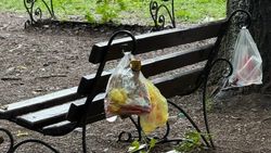 Детская площадка на Пензенском переулке превратилась в «бомжатник», - бишкекчанка